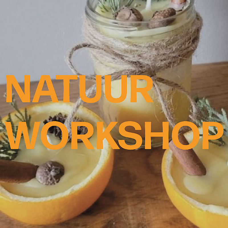  natuur, workshop 
